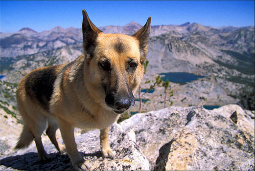 graveyard peak